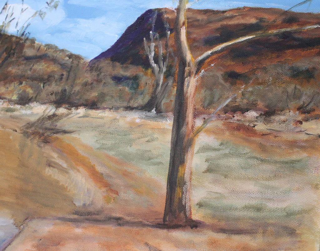 Last Gasp, Stubbs Waterhole, Arkaroola,  (140)