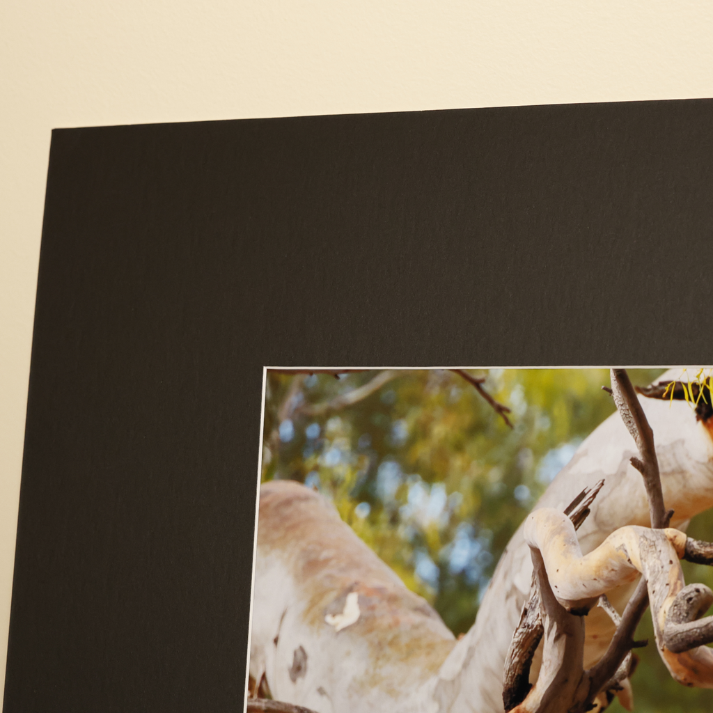 Showing a 80mm Black Mat surround with a White internal bevel edge.