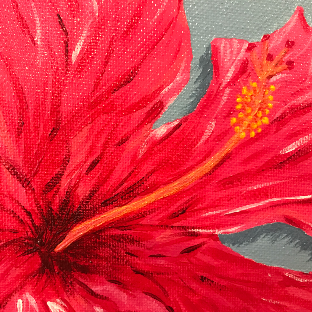Hibiscus