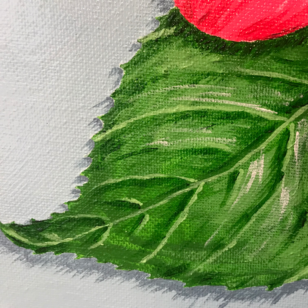 Hibiscus