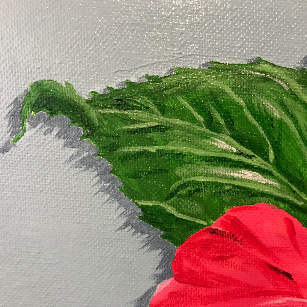 Hibiscus