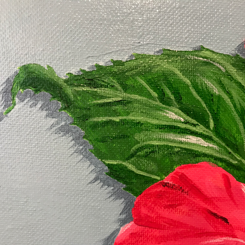 Hibiscus