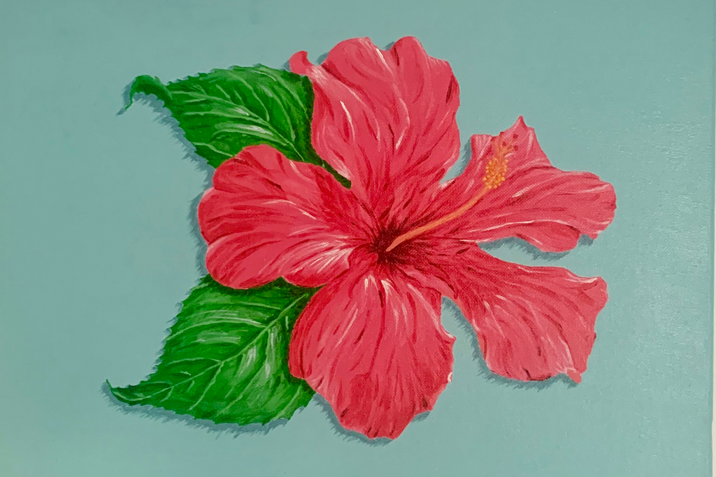 Hibiscus