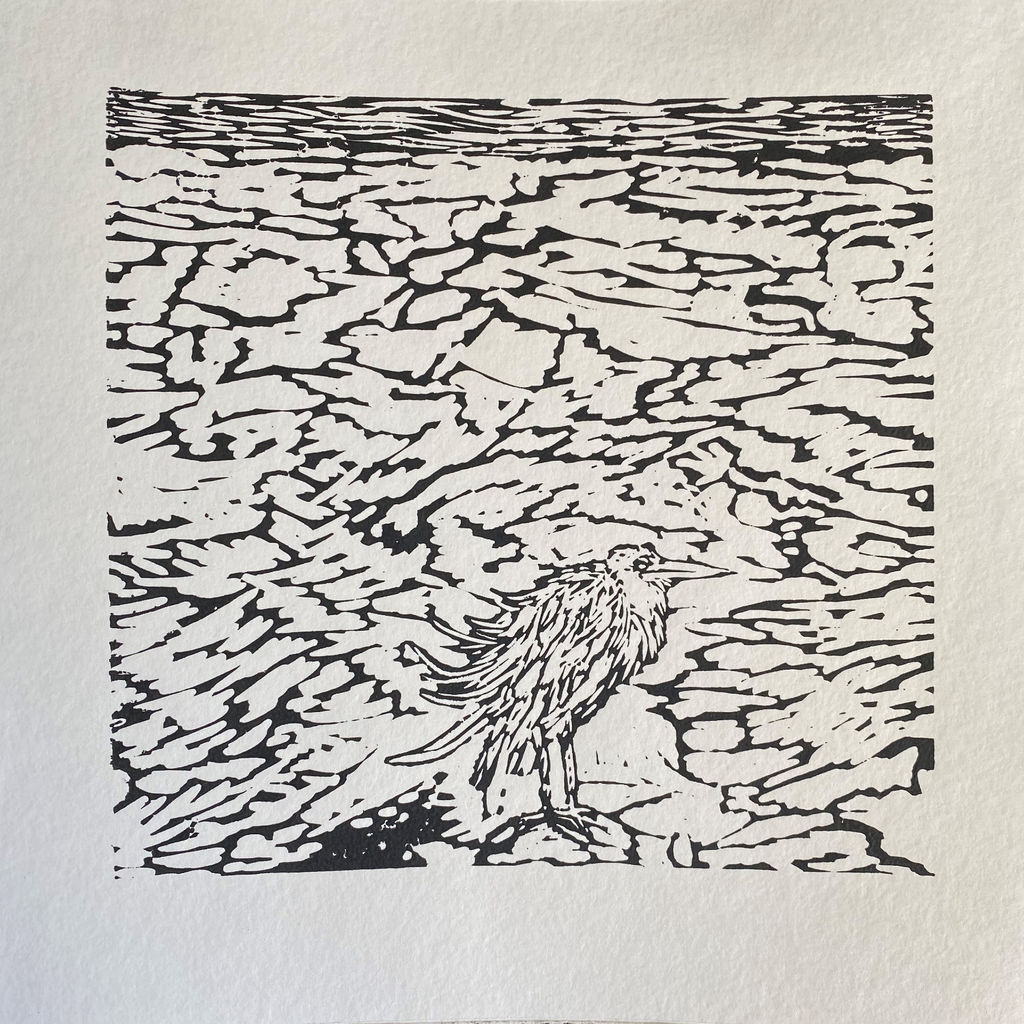 White-faced heron 2019 linocut on paper