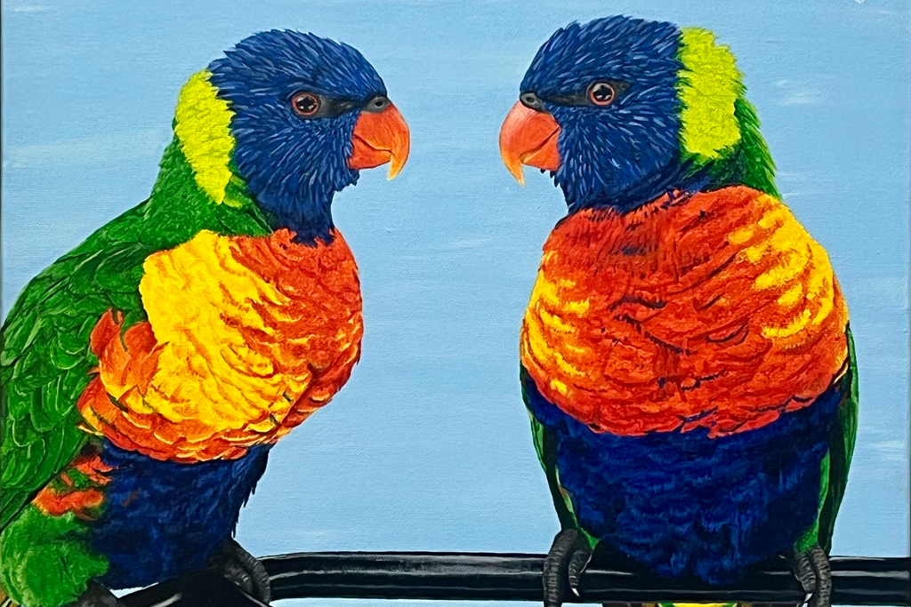Rainbow Lorikeets