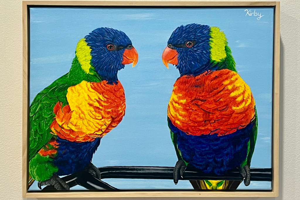 Rainbow Lorikeets