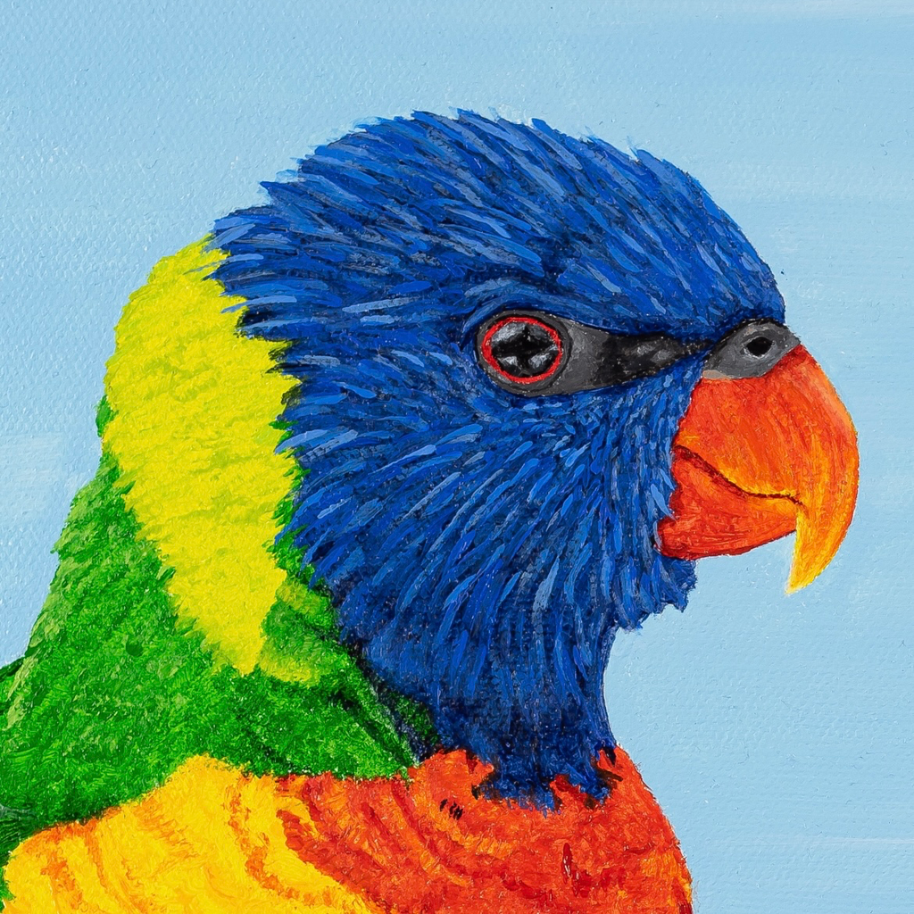 Rainbow Lorikeets