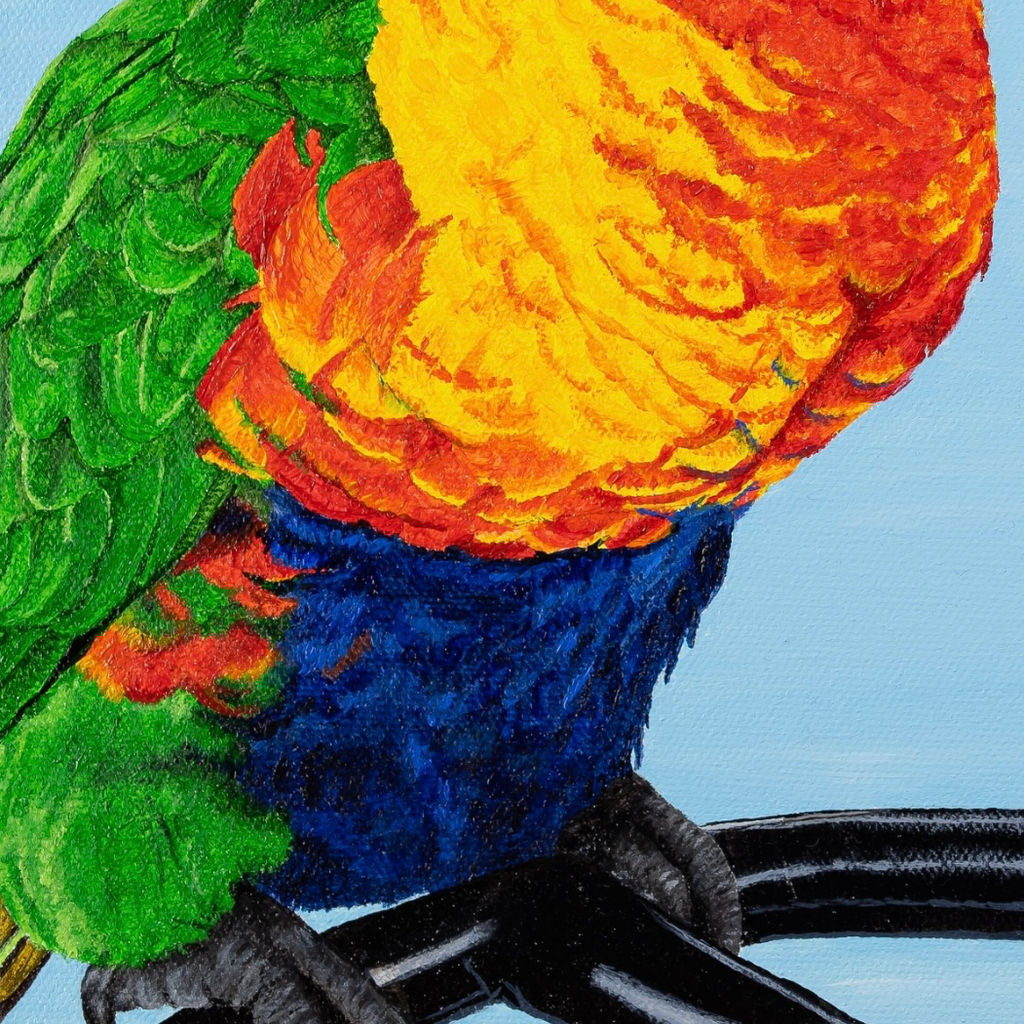 Rainbow Lorikeets