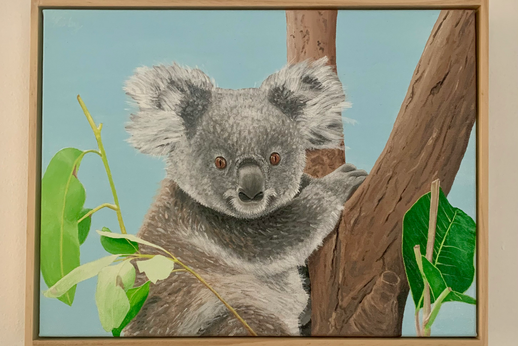 There’s A Koala