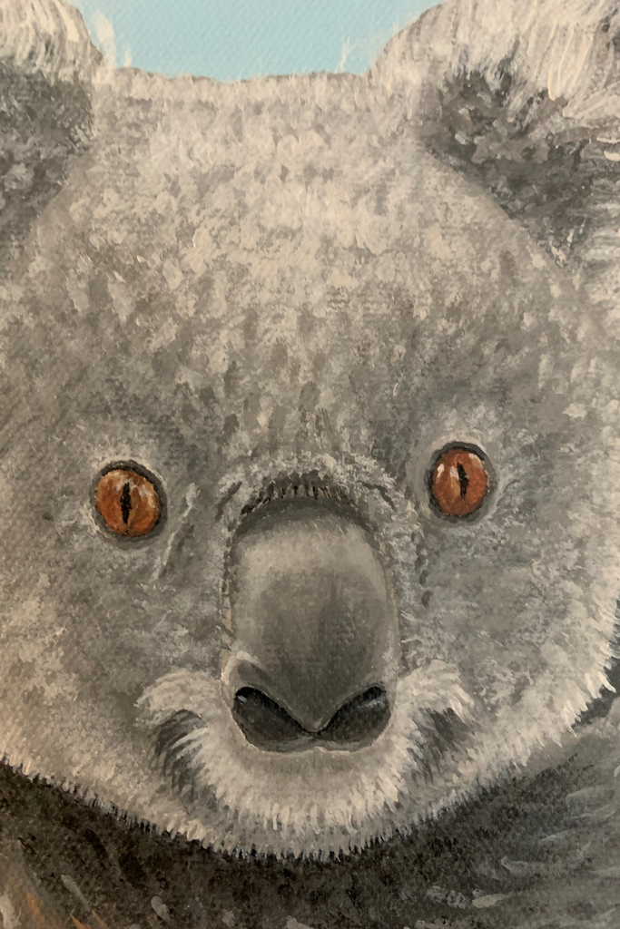 There’s A Koala