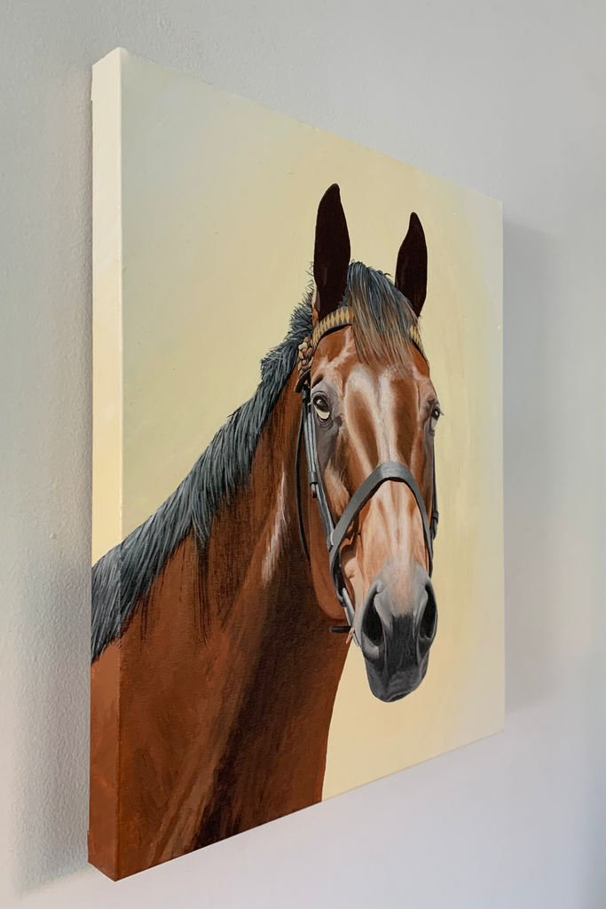 A Horse Aglow