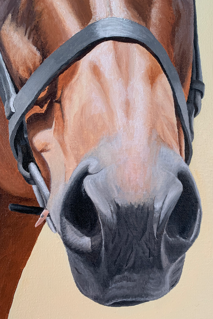 A Horse Aglow