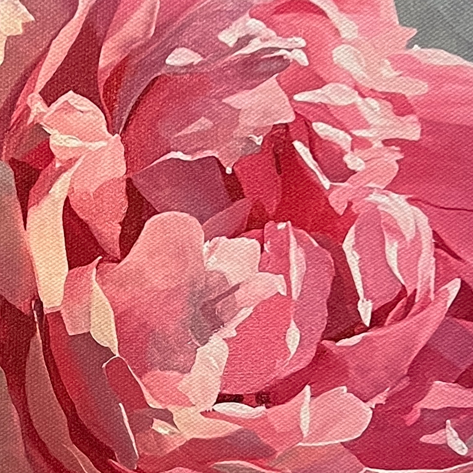 Reflections of a Rose
