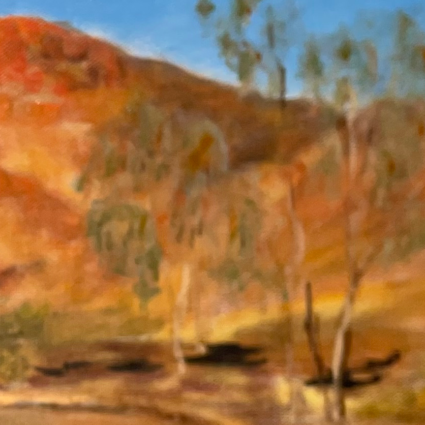 Mara Murumuru,  Arkaroola, (190)
