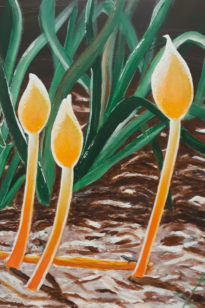 Easter Lilly Shoots.