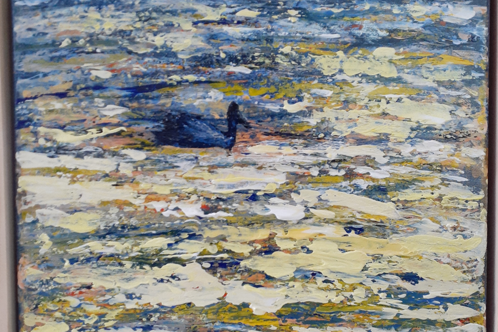 Pelican