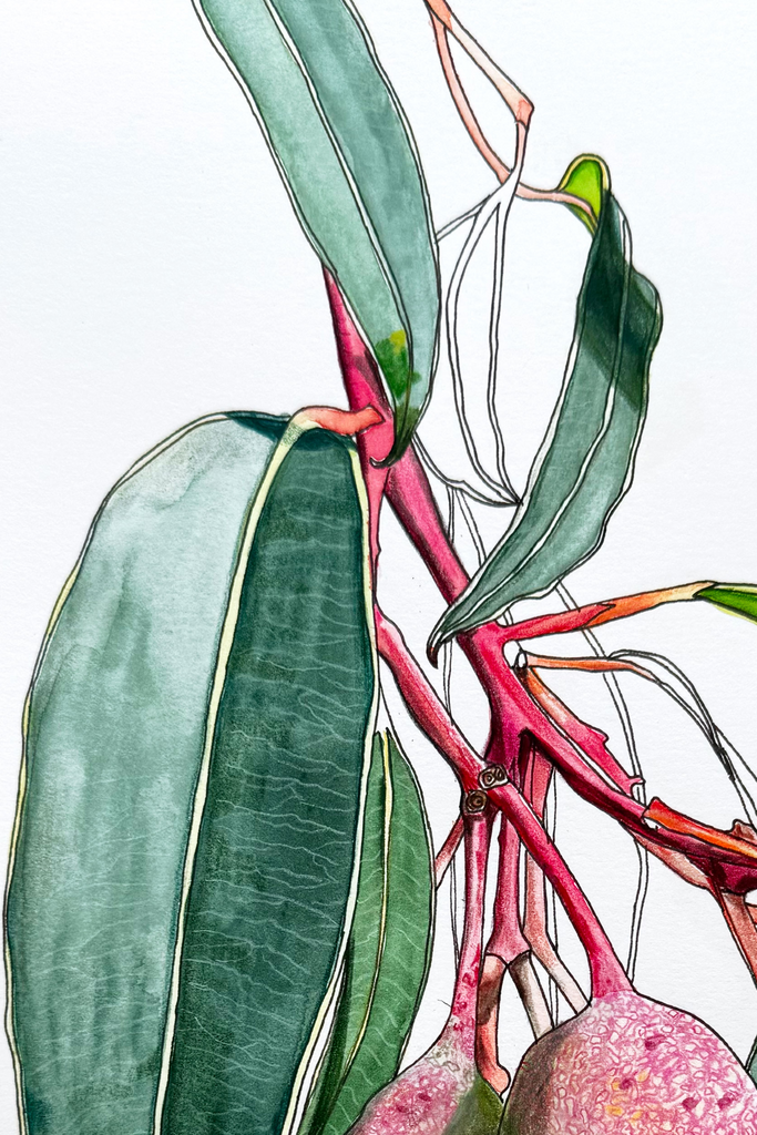 Illustration detail