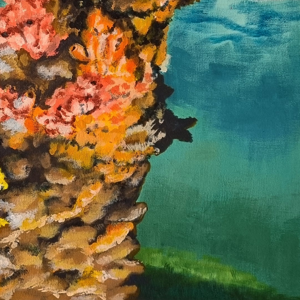 Close up of the coral and water