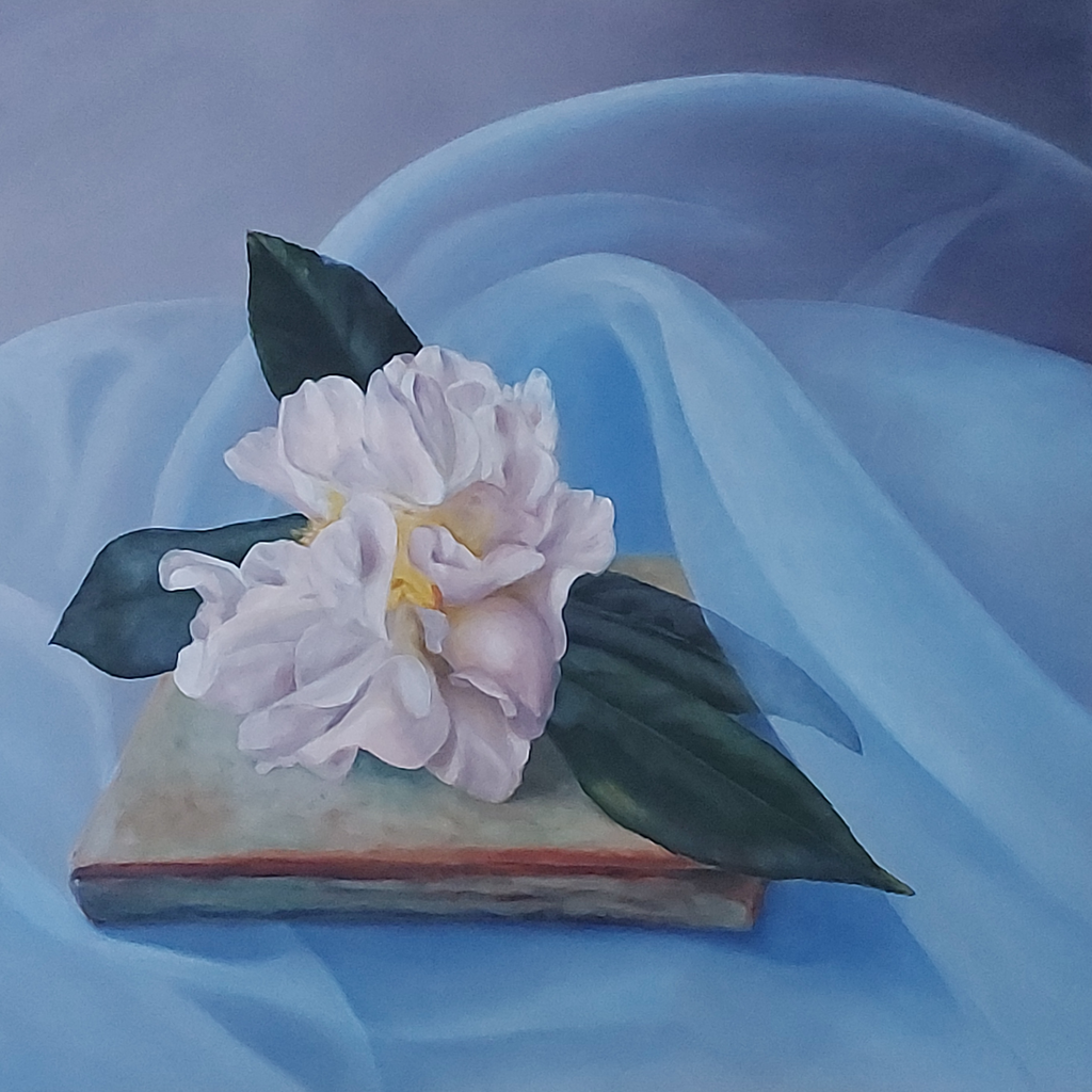 Blue organza with lovelight camelia.