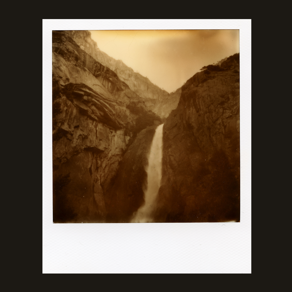 "Lifeblood" 2019, Bianca Hoffrichter, fine art digital colour print, (black background not included in final print)