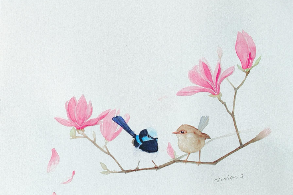 A delicate watercolour painting of a blue wren couple amidst blossoming magnolias