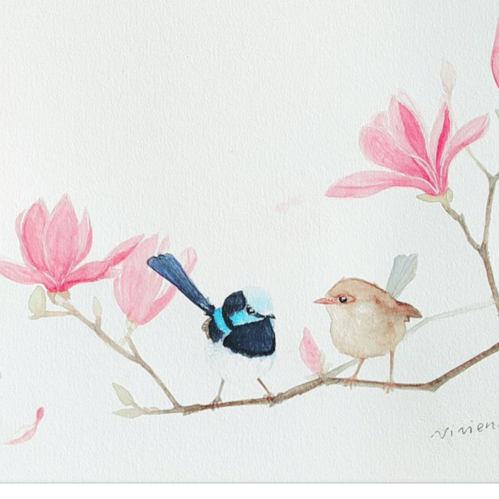 Blue wrens with magnolia