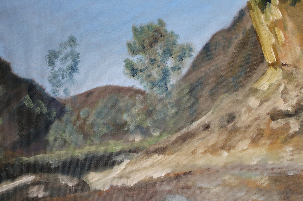 Arkaroola Creek Waterhole (Bararranna)