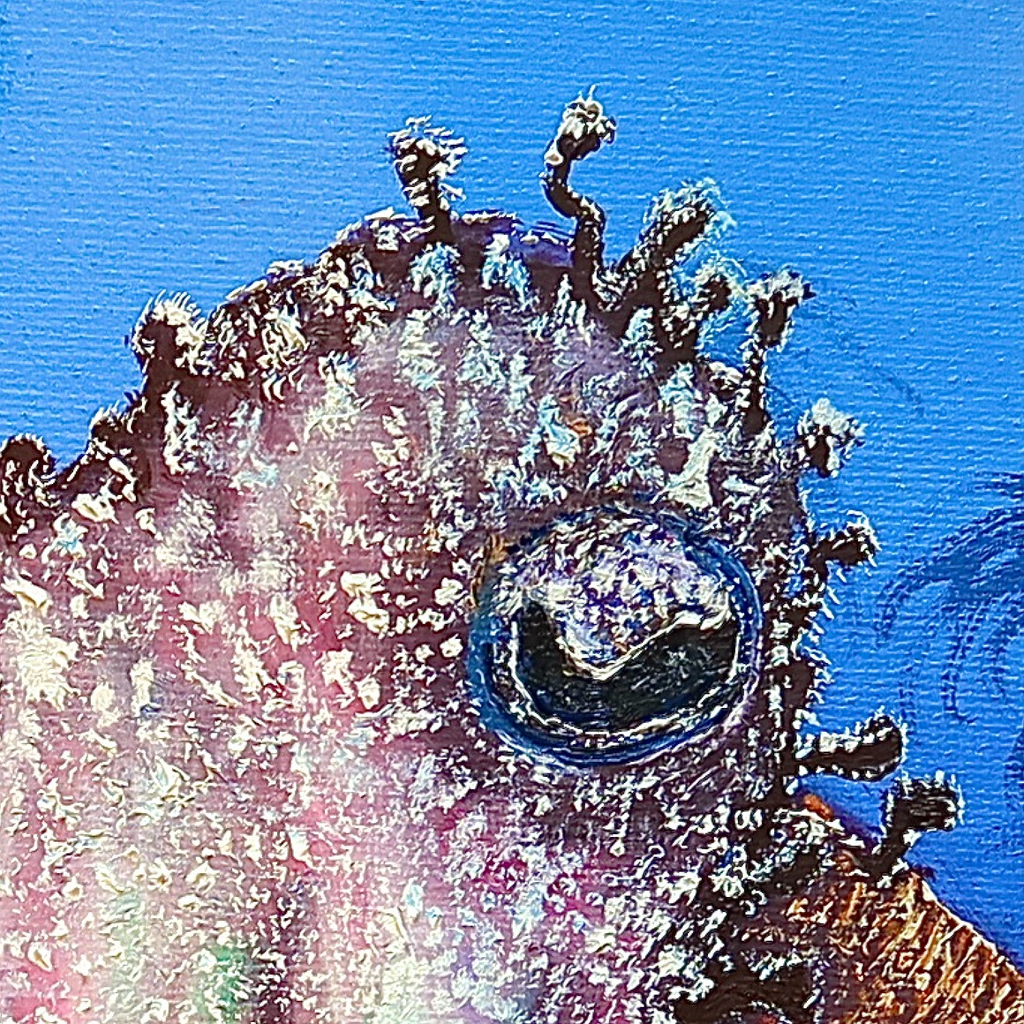Cuttlefish close-up