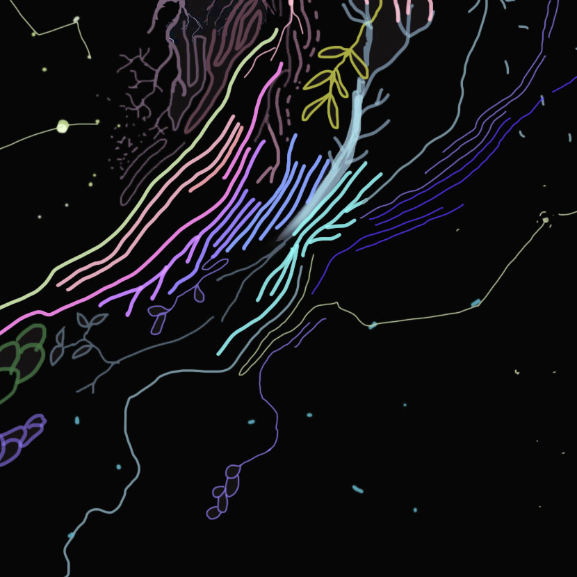 Bow Dark detail