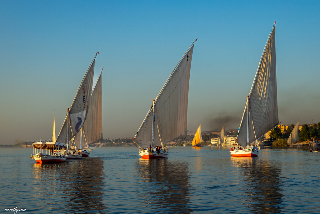 Three Feluccas sailing down the Nile River in Egypt.