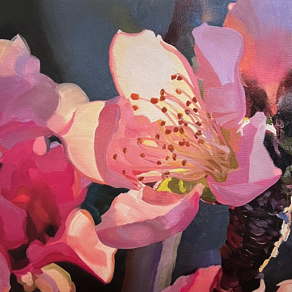 Sunlit Pink Blossom Print